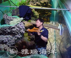 工程景觀改造及維生系統(tǒng)改造