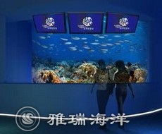 維生系統(tǒng)設(shè)計(jì)