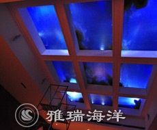 山水文園小型海洋館