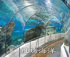 參與建造的武漢極地館